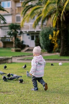 Little girl walks among pigeons grazing in the grass. High quality photo