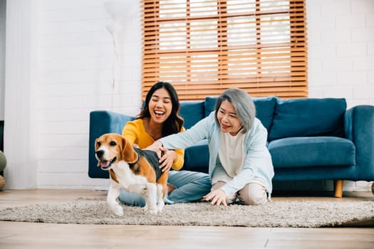Weekend leisure activity at home, A woman and her mother share glad moments with their Beagle dog, running together in the living room. Their friendship is heartwarming. pet love