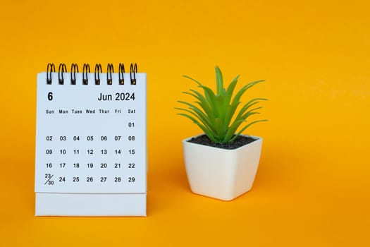 June 2024 desk calendar with potted plant on yellow background. Copy space.