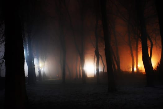 Happy Halloween holiday background with copy space. Dark landscape with creepy trees and moon. Fairytalle forest with fog. Ominous sky on Halloween night.