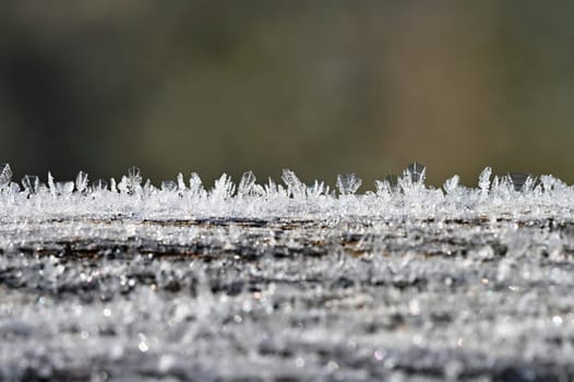 Beautiful frost in nature. Frosty morning in winter - low temperature.