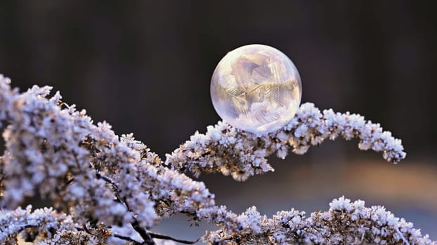 Beautiful ice bubble. Macro shot of winter nature. Frost - ice and frozen water at a low temperature.