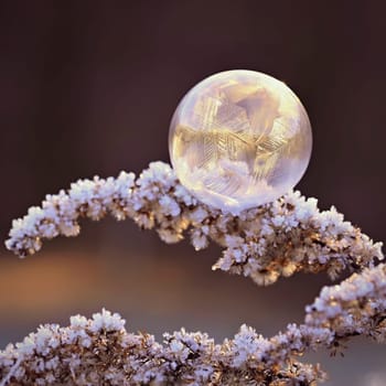 Beautiful ice bubble. Macro shot of winter nature. Frost - ice and frozen water at a low temperature.