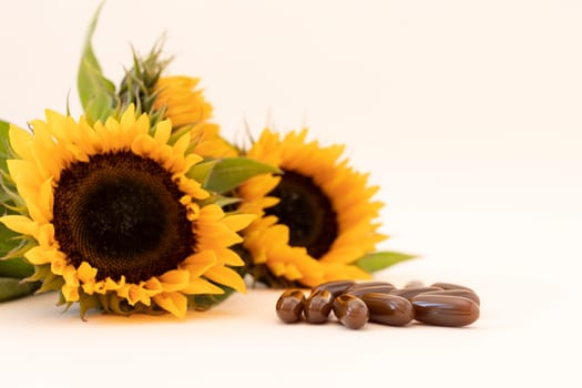 Lecithin Supplement, Brown Softgel Pills, Vitamins on Beige Background with Sunflower Plant. Copy Space For Text. Dietary Capsule or Herbal Supplement, Healthy Lifestyle. Horizontal Plane.