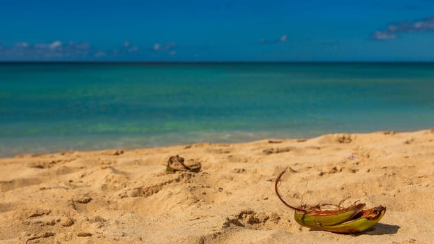 Barbados Island's Sandy Paradise Beach, Caribbean Island