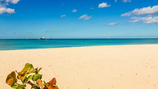 Barbados Island's Sandy Paradise Beach, Caribbean Island