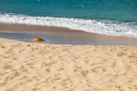 Caribbean beach with white sand, deep blue sky and turquoise water