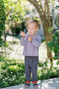 Little girl stands in a sunny garden and blows on a dandelion in her hand. High quality photo
