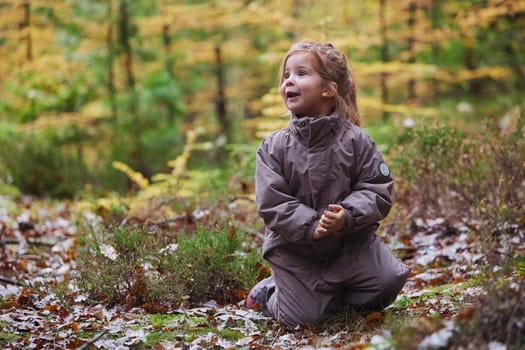 Beautiful child in the forest in Denmark.