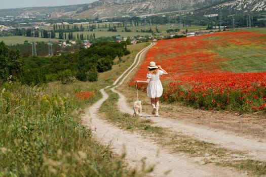 woman with dog. Happy woman walking with white dog the road along a blooming poppy field on a sunny day, She is wearing a white dress and a hat. On a walk with dog.