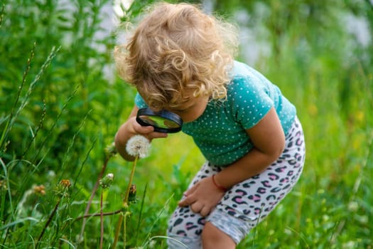 A child looks through a magnifying glass in nature. Selective focus. Kid.