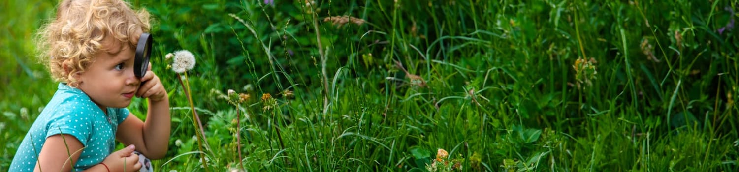 A child looks through a magnifying glass in nature. Selective focus. Kid.