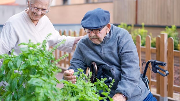 Photo of an old couple looking at a urban garden in a geriatric