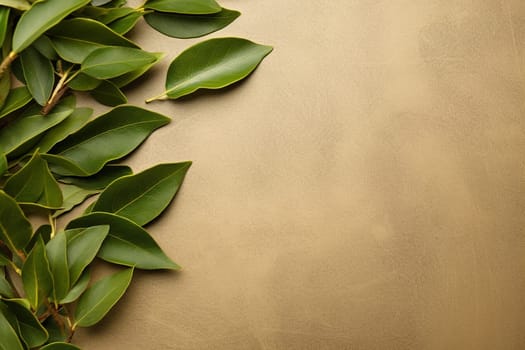 Green leaves on the upper left corner over a beige background.