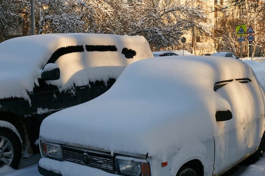 Photo two cars in the snow in winter against a background of trees.