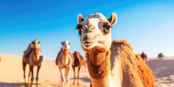 A caravan of camels rests in the desert against the backdrop of the red sea and high mountains. Egypt. ai generated