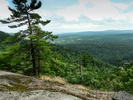 Camden Hills State Park, Camden, Maine in Summer