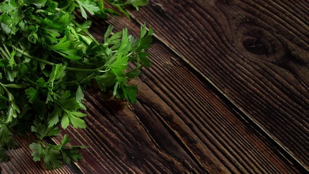 Green parsley leaves - used as herb in kitchen - on dark wooden board, wide banner