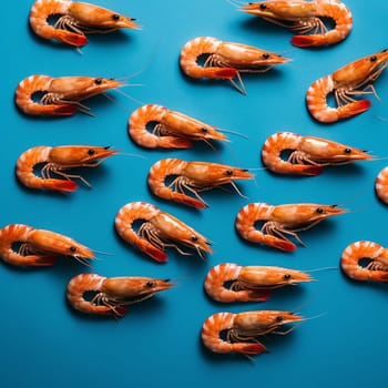 Multiple shrimps arranged neatly on a blue background.