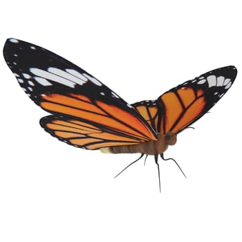 Butterfly isolated on white background. High quality 3d illustration
