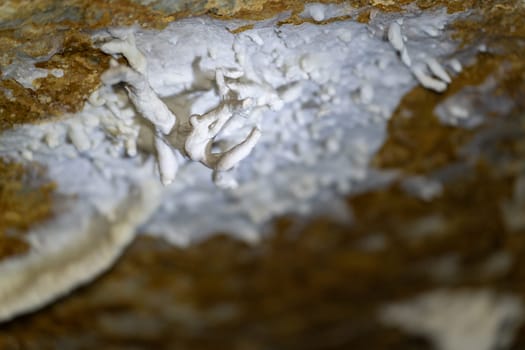 Peculiar white formations in a cave look like alien landscapes.