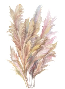beige pampas grass bush painted in watercolor isolated on white background for boho style design