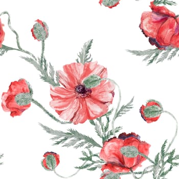 Seamless botanical watercolor pattern with poppies on a white background. Vintage summer print for textile and surface design