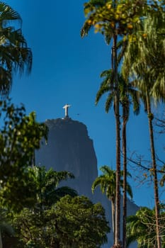 Christ the Redeemer statue looms above Rio, framed by tropical foliage and a blue sky.