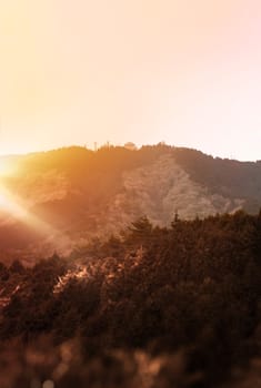 kyoto, japan - march 25 2023: A scenic view of the dome of the Garden Museum Hiei crowning Mount Hiei's summit above verdant fir tree forest illuminated in layers by the setting sun's backlight.