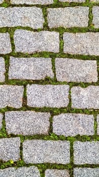 Green grass sprouted between bricks of cobblestone path, top view. Concept of harmonious fusion of city and nature