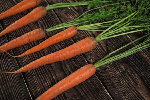 Carrots with green leaves on dark wooden board