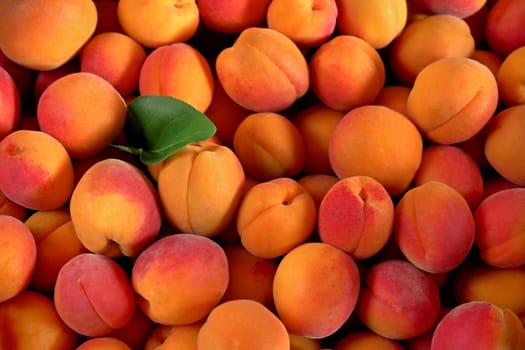 Heap of apricots with one green leaf, view from above