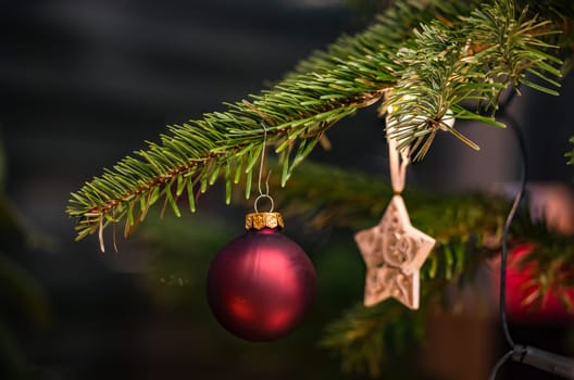 Red ball and white star on a fir branch on a Christmas tree for Christmas