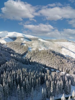 Aerial top view of scenic winter mountain landscape and Demanovska Dolina village. Drone photography of rocks, pine and spruce trees of frozen forest with snow in Low Tatras mountains, Slovakia