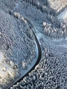 Aerial view of curvy asphalt road through winter forest of Low Tatras mountains, Slovakia. Drone overhead view to tops of pines and fir trees and winding narrow roadway to Demanovska Dolina village