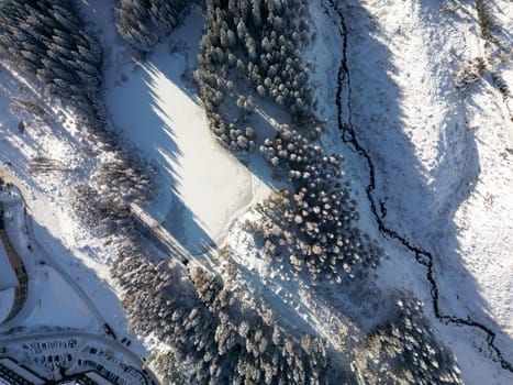 Aerial view of winter Low Tatras mountain slope in Slovakia. Drone flight view to tops of fir and pine trees with long slanting shadow at sunset, houses and road in Demanovska Dolina village