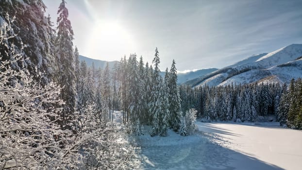 Winter forest landscape with snow and ice in Low Tatras of Slovakia. Nature panorama of cold scenic season in calm mountains, icy frozen pine tree branches, snowy lake surface and sunshine in sky