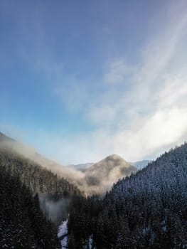 Aerial view of winter dark forest and fog on cliffs of Low Tatras mountains in Slovakia. Snowy cold scenic landscape, extreme beauty of misty weather, foggy pine and fir trees on range rocks