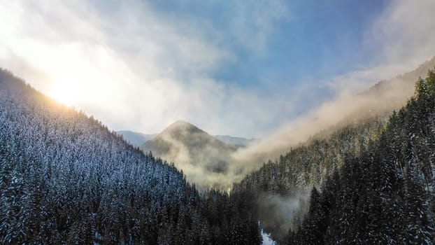 Aerial view of misty winter forest and scenic sunset in Low Tatras mountains of Slovakia. Snowy cliffs with fog and mist over dark pine trees, beautiful vibrant sunshine with sunrays on horizon