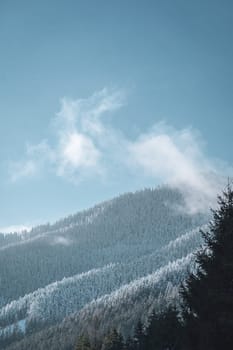 Scenic mountains of Low Tatras with snow, pine trees and tranquil mist, winter snowy landscape of Slovakia