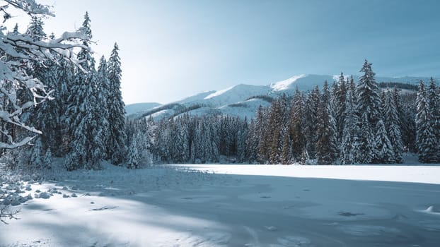 Panoramic winter landscape with snow on pine forest and mountains, long sunset shadow in Low Tatras, Slovakia