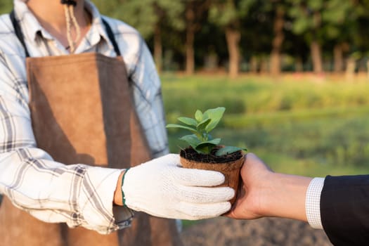 Eco-business company empower farmer with eco-friendly farming practice and clean agricultural technology. Cultivate sustainable future nurturing plants to grow and thrive. Gyre