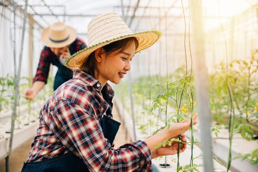 Greenhouse owner a woman checks tomato plants for quality using modern technology. As an entrepreneur and scientist she ensures optimal growth showcasing happiness in her vegetable farm environment.