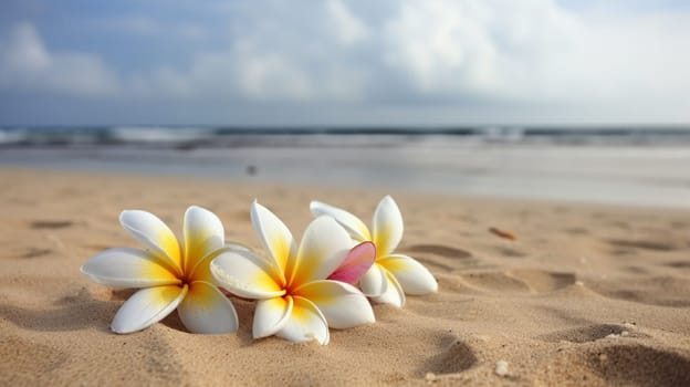 Plumeria flowers on the beach on the sand. selective focus. nature Generative AI,