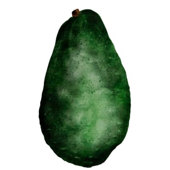 Avocado watercolor illustration. Bright illustration on an isolated background. Tropical fruit realistic drawing. Green ripe vegetable for food packaging and textile design for kitchen and dining room. High quality photo