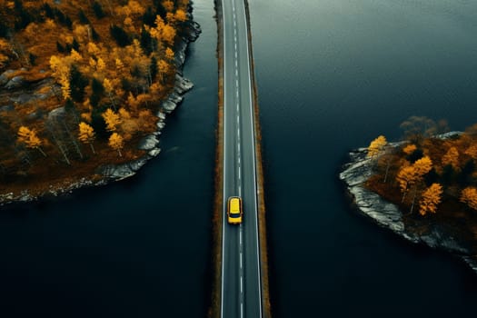 Aerial view of road in forest. High quality photo