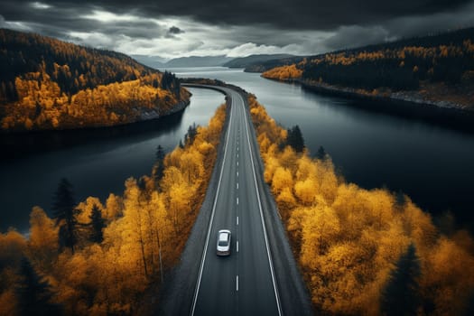 Aerial view of road in forest. High quality photo