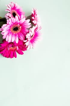 pink gerbera daisy in a basket and a White heart on blue wood, lovely background for Valentines Day, Birthday, Anniversary or floral greeting card.