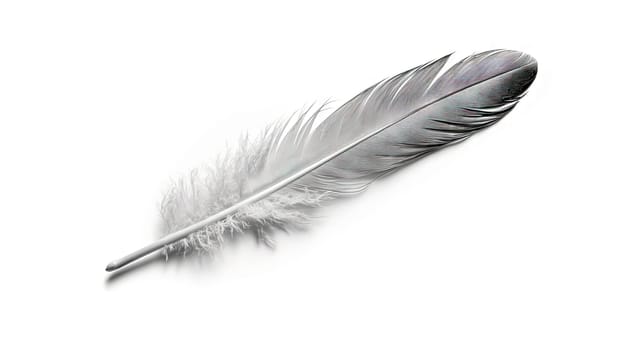 Bird feather on white background. Beautiful bird plumage or wing element, isolated smooth feather. Generated AI