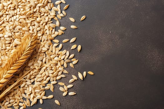 Golden wheat grains and ears on dark background.